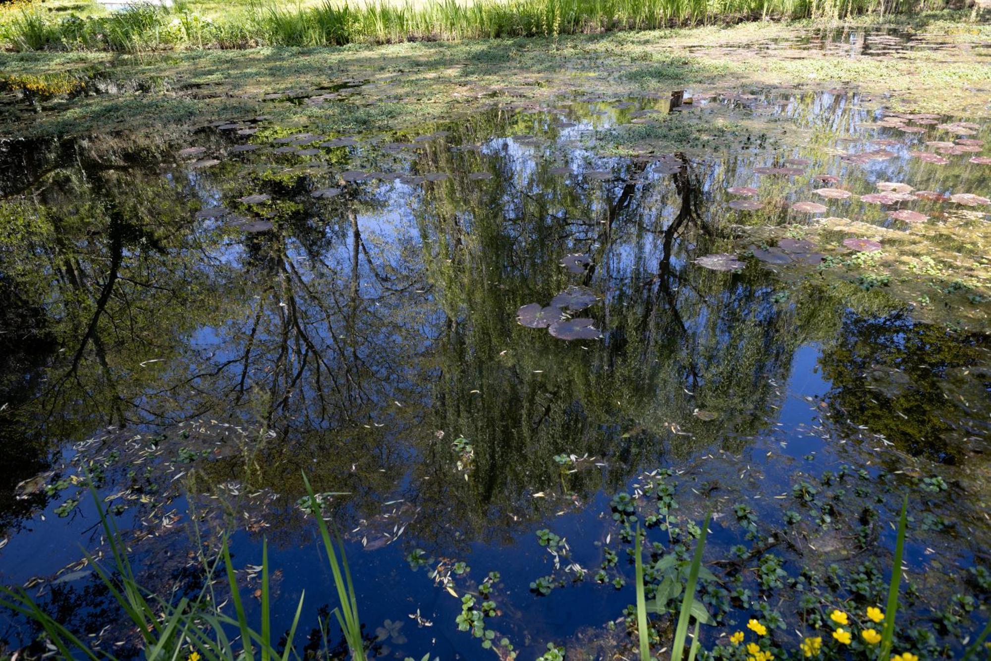 Il Casale Di Villa Rossi Lucca Kültér fotó